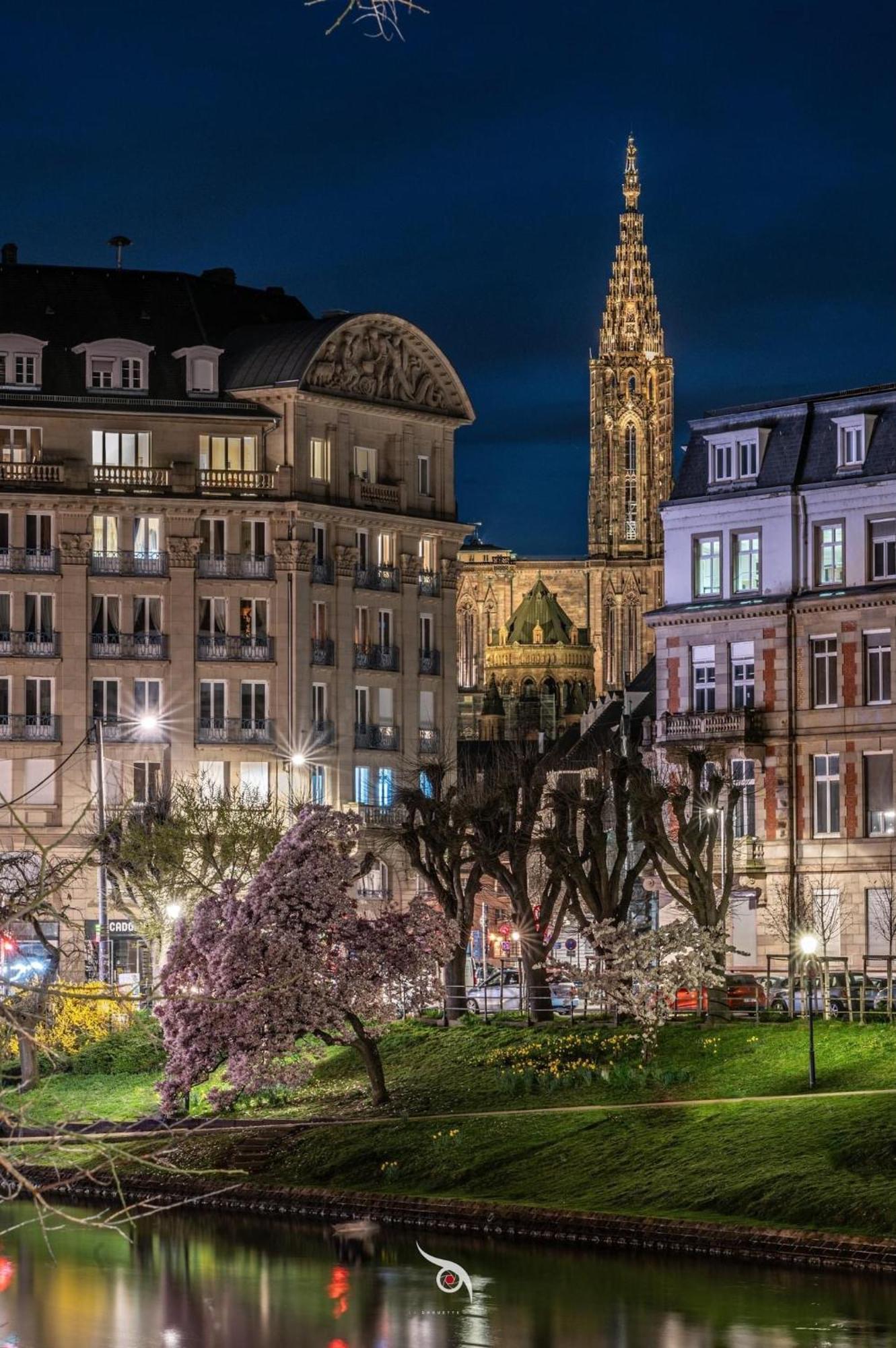 Appart & Studio Hyper Centre De Strasbourg - Proche Cathedrale & Petite France Bagian luar foto