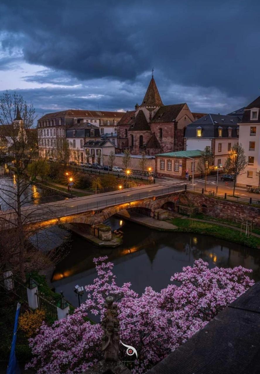 Appart & Studio Hyper Centre De Strasbourg - Proche Cathedrale & Petite France Bagian luar foto